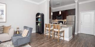 Braeswood Place Gallery 31