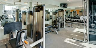 The Island Residences at Carlson Center Gallery 12