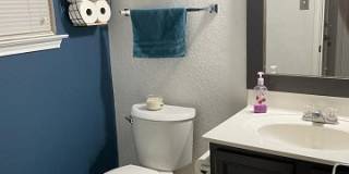 54 Basin Elm Gallery 5