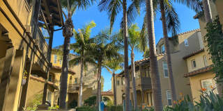 7972 Aldea Cir Gallery 3
