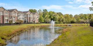 Amelia Station Gallery 35