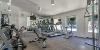 Laurel Heights Gallery 3