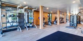 Axis Oakland Gallery 57