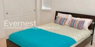 3206 Vittoria Loop Gallery 13