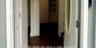 113 N Wright St Gallery 23