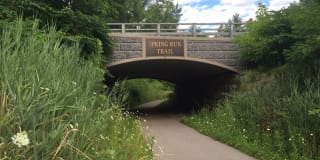 Empire Run Gallery 46