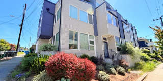 Modern & Spacious 3-Story Home in Seattle Gallery 1