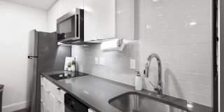 Netherland Gallery 21