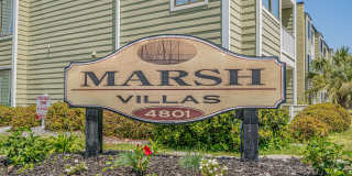 Close to the beach Gallery 79