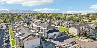 Carrington Square Gallery 88