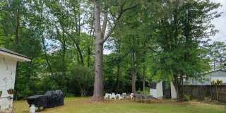 Amazing 4 Bedroom/ 2 bath East Memphis House @5259 Sequoia Ave. Gallery 19