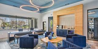 Collier Luxury Living Gallery 9