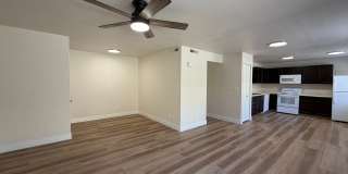 REMODELED TWO BEDROOM IN DOWTOWN! Gallery 1