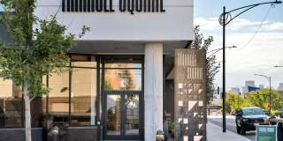 Triangle Square Gallery 26