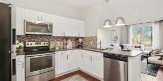 333 Central Avenue Gallery 1