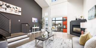 249 Shipley St Gallery 4