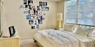 3150 N Course Lane Gallery 14
