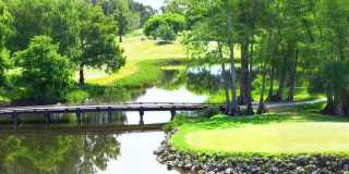 11397 Pond View Drive Gallery 54