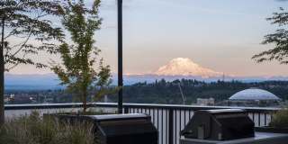 Rook Apartments Gallery 36