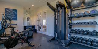 *New Construction* Gallery 54