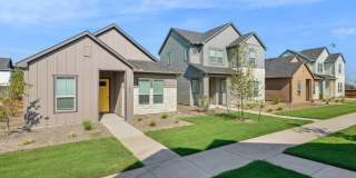 Canvas at Anna Gallery 47