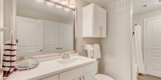 5 Mockingbird Gallery 13