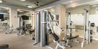 The Southerly Gallery 30