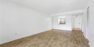 28161 Pine Haven Way Gallery 4