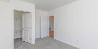 Pointe by Vintage Gallery 29