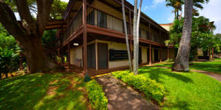Coconut Inn Gallery 11