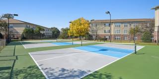 Woodland Crossing Gallery 20