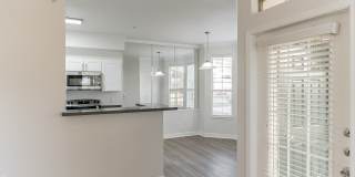 The Palazzo Apartments Gallery 20