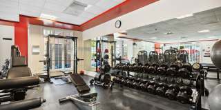 Arrive Stamford Gallery 12