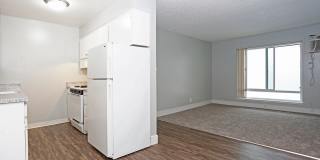 Olive Square Gallery 1