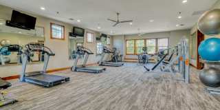 Windsor Mustang Park Gallery 21