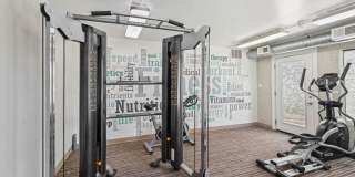 Arcadia 30 Gallery 17