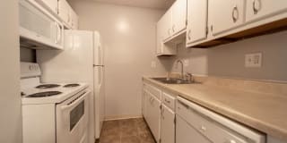 Tarpis Woods Gallery 1