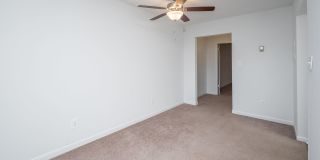 Dana Apartments Gallery 6