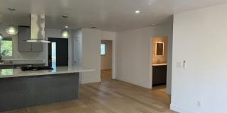 Fully Remodeled 3 Bedroom/ 2 Bathroom Duplex w/ Modern Finishes & Private Yard! Gallery 16