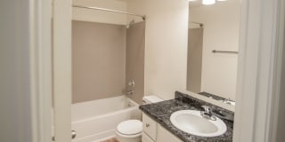 Aspen Glade Gallery 20