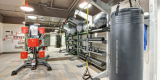 Echo Lake Gallery 31