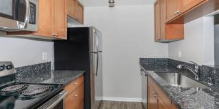 Carrington Gallery 46