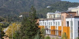 Bell Mt. Tam Gallery 21