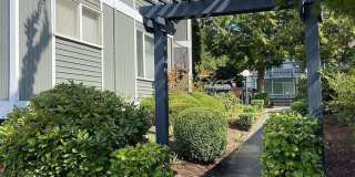 Village Gardens Gallery 3