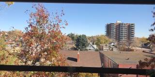 Great 1 bed at 551 Pearl Condominiums! Gallery 15