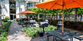 Legacy at Pinecrest Gallery 15