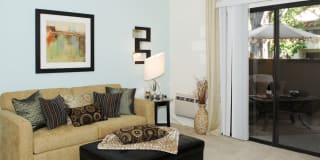Avalon Mountain View Gallery 12