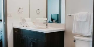 Tanager Tanager Gallery 75