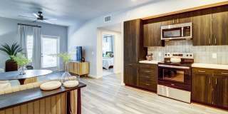 Aurora at Green Valley Gallery 2