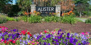 Alister Quincy Gallery 27